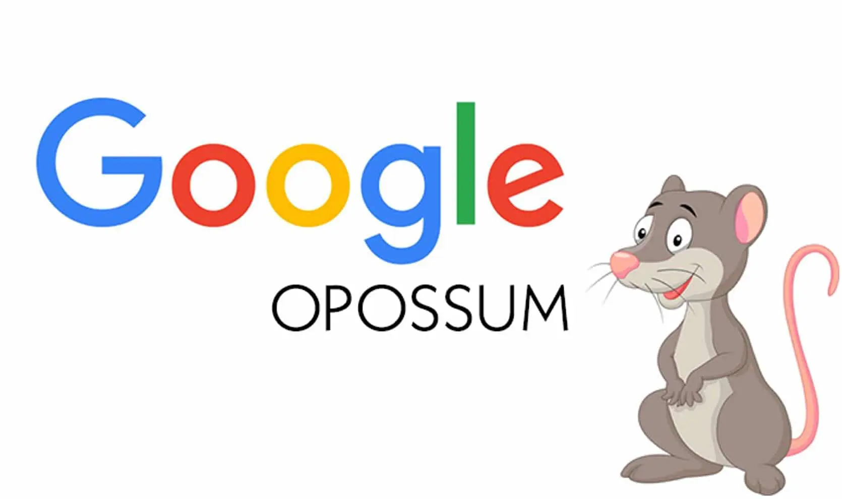 Google Opossum, la mystérieuse mise à jour de Google sur le SEO local